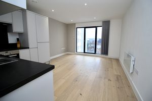 Kitchen/Living Area- click for photo gallery